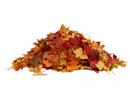 Yard debris and garden waste